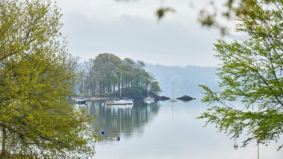 a lake with large trees reflecting